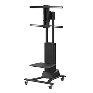 tilting support arm 1