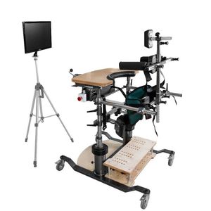 balance rehabilitation system