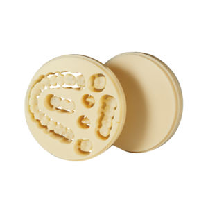 PMMA dental material