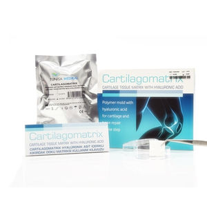 orthopedic tissue matrix
