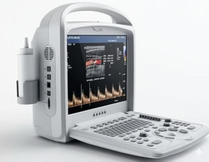 portable ultrasound system