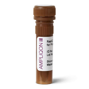 DNA polymerase reagent