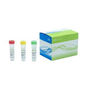 DNA ligase reagent 1