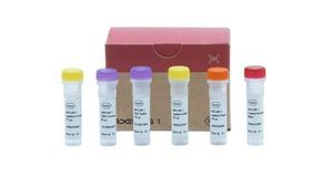 DNA ligase reagent 1