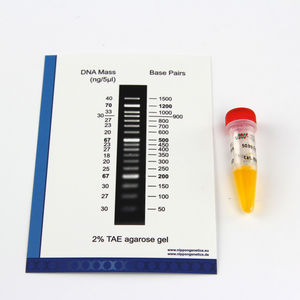 enzymes reagent kits / dyes / agarose gel / DNA ladders