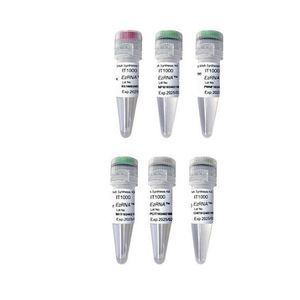 enzyme reagent kit