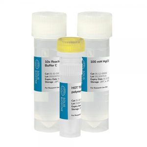 DNA polymerase reagent kit