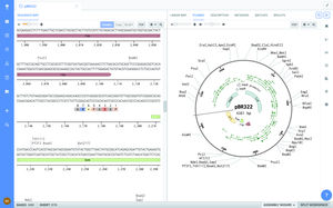 molecular biology software