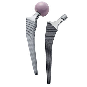 cementless femoral stem