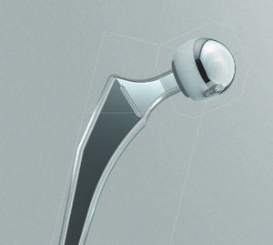 cemented femoral stem