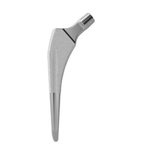 cementless femoral stem