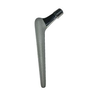 cementless femoral stem