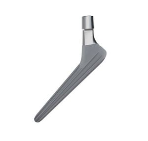 cementless femoral stem