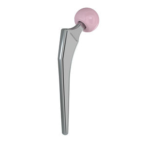 cemented femoral stem
