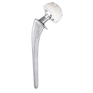 primary hip prosthesis
