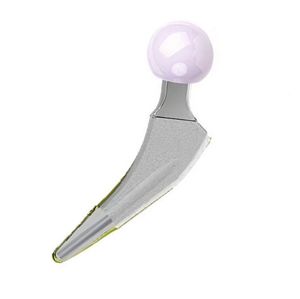 minimally invasive femoral stem