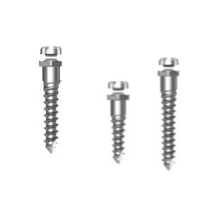 titanium dental mini-implant 1