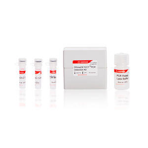 DNA polymerase reagent kit