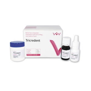 resin dental material