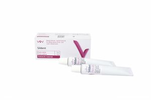 silicone dental material