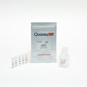 DNA polymerase reagent kit