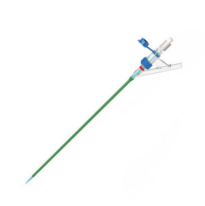 ureteral access sheath 1