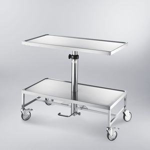 stainless steel Mayo table