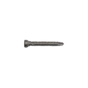 femoral head compression bone screw