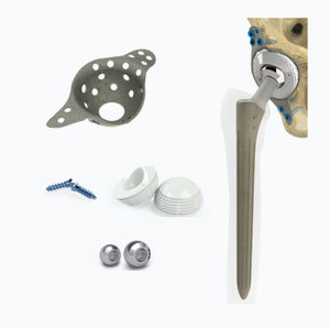 revision hip prosthesis 1