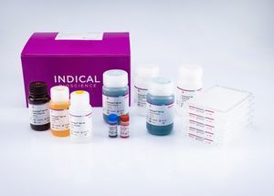 veterinary assay kit 1