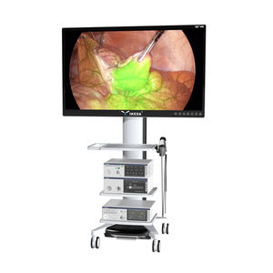 gynecological endoscopy column