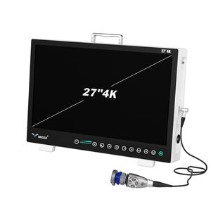 endoscopy video processor