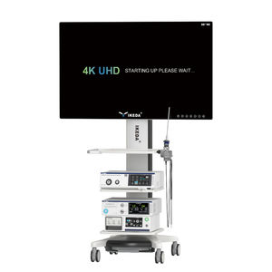 ENT endoscopy column