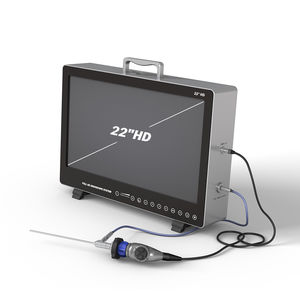 endoscopic camera