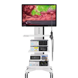 endoscopic camera
