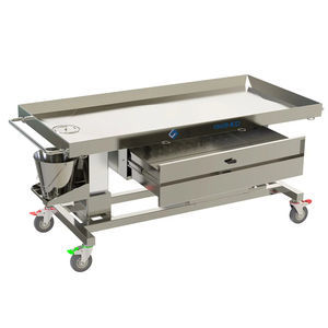 transport mortuary trolley 1