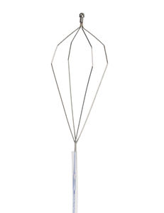 esophageal foreign body removal endoscopic basket