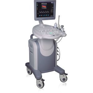 on-platform ultrasound system