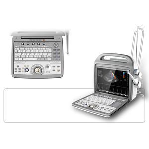 portable ultrasound system