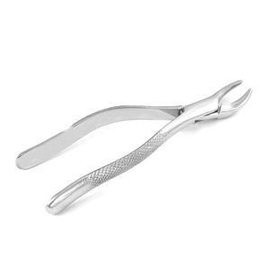 upper molar dental extraction forceps