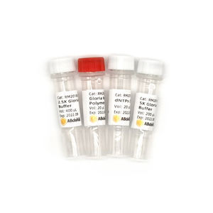 DNA polymerase reagent