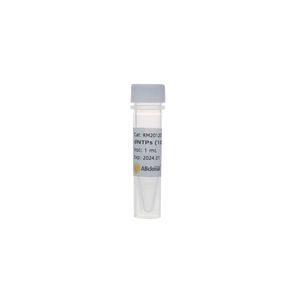 dNTP solution reagent