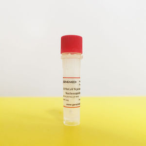 COVID-19 test kit