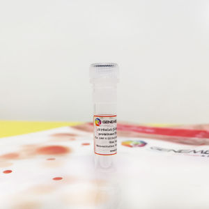 recombinant antigen reagent