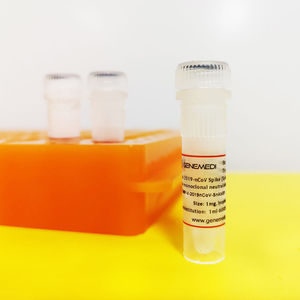 monoclonal antibody reagent