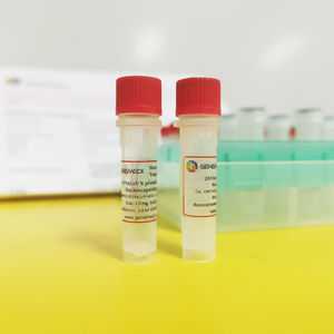 COVID-19 rapid test