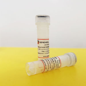 COVID-19 rapid test