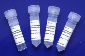 infectious disease test kit