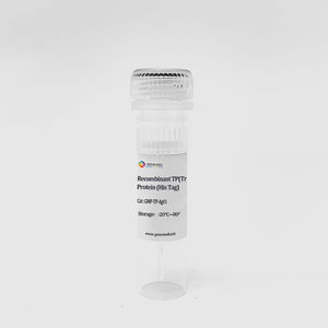 syphilis test kit