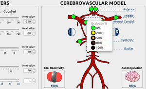 cardiovascular software